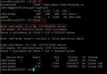 Linux系统挂载数据盘-微世界